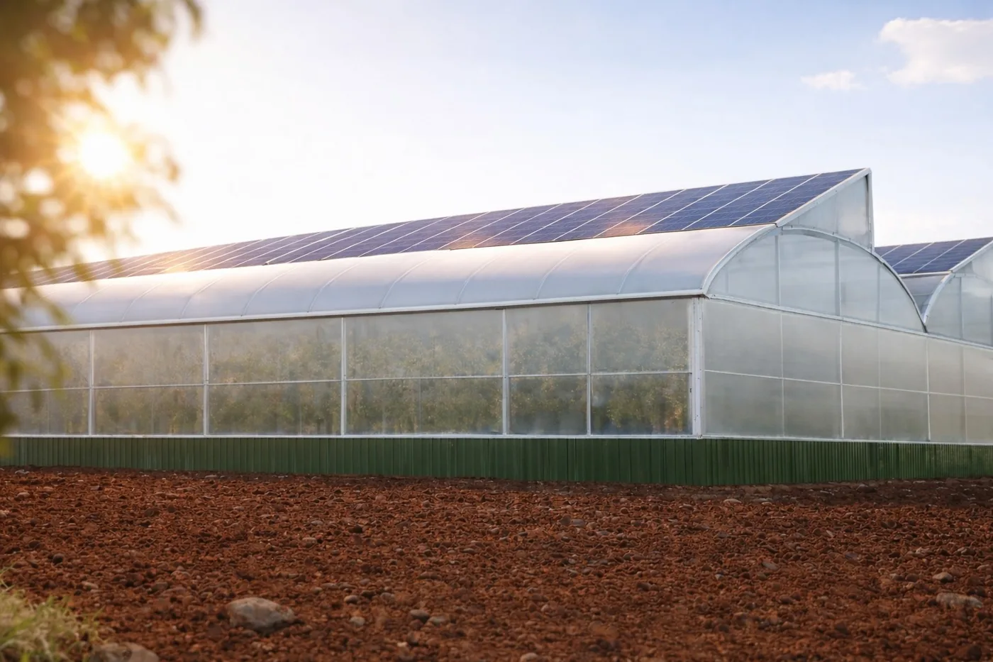 Greenhouse with a solar roof at sunrise